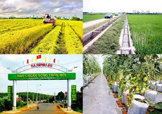 国家新农村建设目标计划实施10年总结计划正式公布 ảnh 1