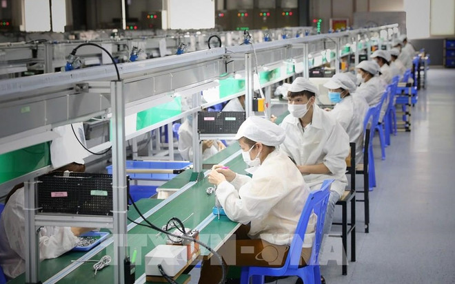 世行：越南的新增长引擎 ảnh 1