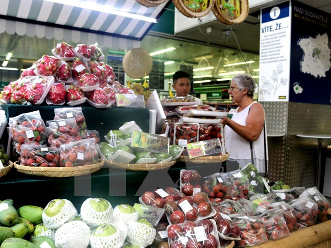 越南水果进军捷克市场 ảnh 1 越南水果进军捷克市场 ảnh 1