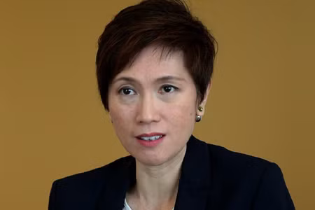 胡志明市与新加坡促进经济合作 ảnh 1