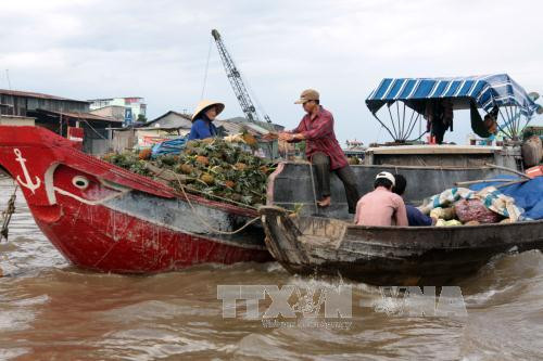 芹苴市丐冷水上市场旅游节吸引国内外数万人次参加 ảnh 6