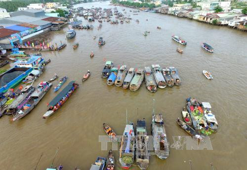 芹苴市丐冷水上市场旅游节吸引国内外数万人次参加 ảnh 2