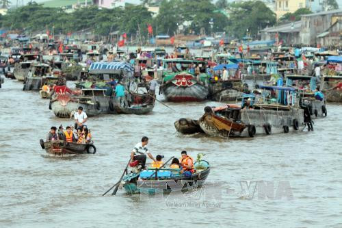 芹苴市丐冷水上市场旅游节吸引国内外数万人次参加 ảnh 1