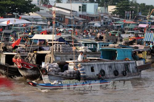 芹苴市丐冷水上市场旅游节吸引国内外数万人次参加 ảnh 4