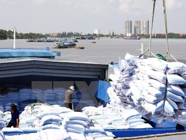 中国是越南大米第一大进口市场 ảnh 1 中国是越南大米第一大进口市场 ảnh 1