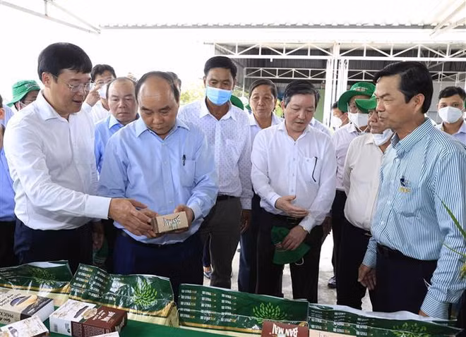 国家主席阮春福：集体经济发展是越南的必然和客观趋势 ảnh 1