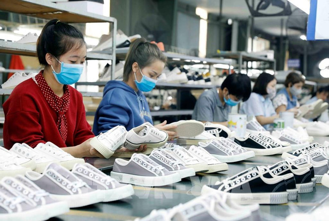 研究世行关于越南经济情况的报告 ảnh 1 研究世行关于越南经济情况的报告 ảnh 1