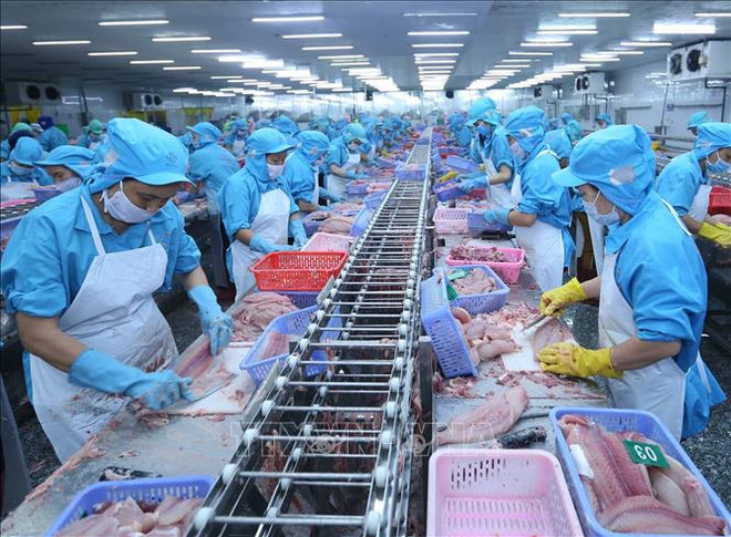 越南对欧盟的查鱼出口经连续多个月停滞或深度下滑后反弹回升 ảnh 1 越南对欧盟的查鱼出口经连续多个月停滞或深度下滑后反弹回升 ảnh 1