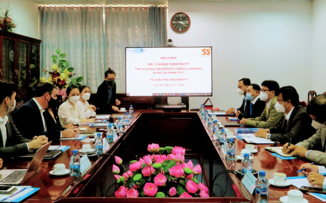 促进芹苴各所大学与澳大利亚伙伴的教育合作 ảnh 1 促进芹苴各所大学与澳大利亚伙伴的教育合作 ảnh 1
