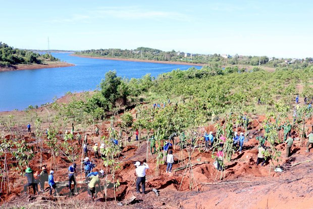 📝时评：坚持走绿色之路致力于可持续未来 ảnh 5