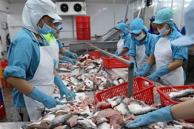 越南企业在墨西哥市场寻找经营和出口机会 ảnh 1