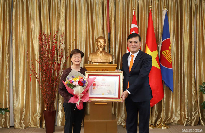 越南向新加坡驻越南前大使授予友谊勋章 ảnh 1