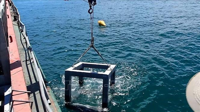 “为鱼儿盖房”项目:保护并推动渔业资源可持续发展 ảnh 2 “为鱼儿盖房”项目:保护并推动渔业资源可持续发展 ảnh 2