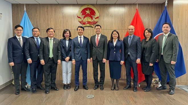 巩固越南青年在国际舞台上的地位和作用 ảnh 1 巩固越南青年在国际舞台上的地位和作用 ảnh 1