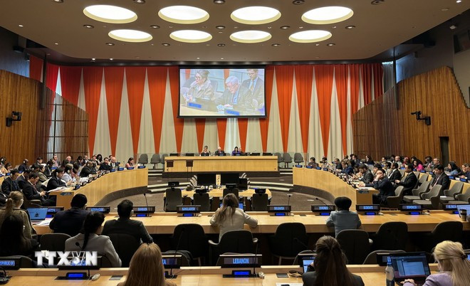 联合国妇女署越南首席代表:越南在性别平等领域取得长足进步 ảnh 2 联合国妇女署越南首席代表:越南在性别平等领域取得长足进步 ảnh 2