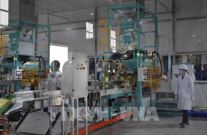 今年二季度企业生产经营状况好于一季度 ảnh 1 今年二季度企业生产经营状况好于一季度 ảnh 1