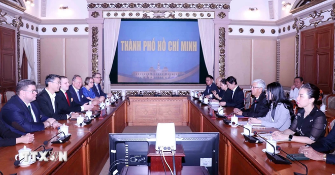 促进胡志明市与德国企业多领域合作 ảnh 1