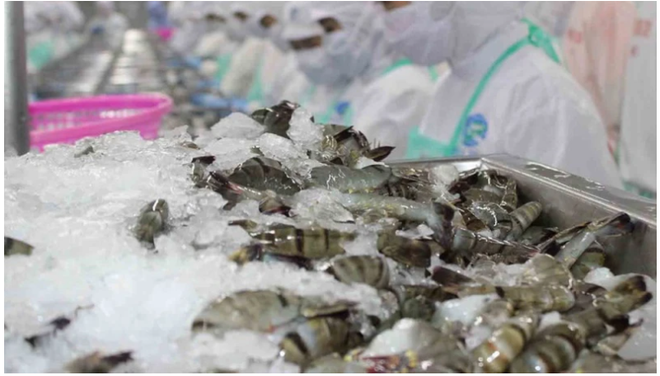 中国增加从越南进口虾类 ảnh 1 中国增加从越南进口虾类 ảnh 1