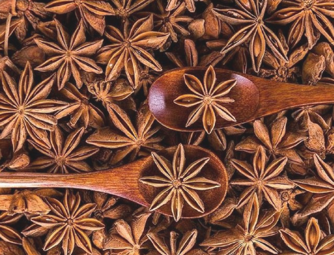 三月份越南对印度的八角出口量环比增长178% ảnh 1 三月份越南对印度的八角出口量环比增长178% ảnh 1