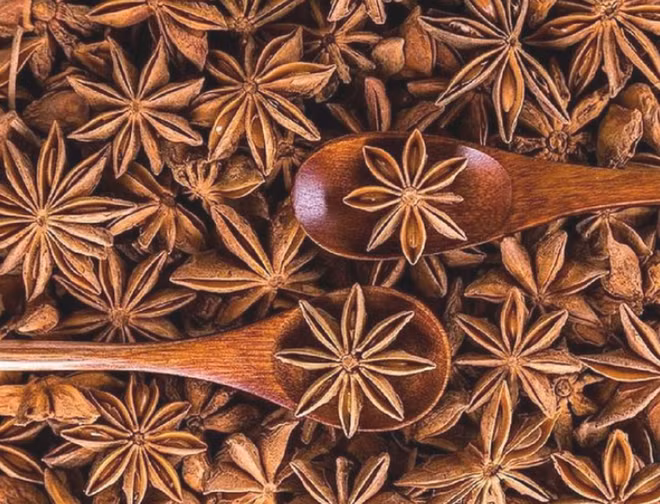 三月份越南对印度的八角出口量环比增长178% ảnh 1