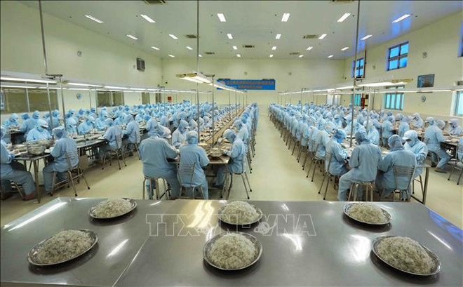 确立越南品牌地位和价值 ảnh 2 确立越南品牌地位和价值 ảnh 2