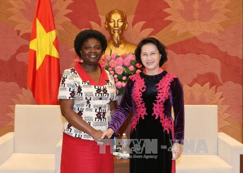 越南国会主席阮氏金银会见世行驻越首席代表维多利亚·克瓦 ảnh 1
