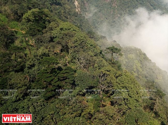 番士朋峰(组图) ảnh 11 番士朋峰(组图) ảnh 11