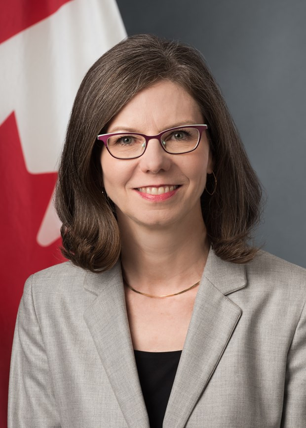 越南成为成功抗击新冠肺炎疫情的典范 ảnh 1 越南成为成功抗击新冠肺炎疫情的典范 ảnh 1