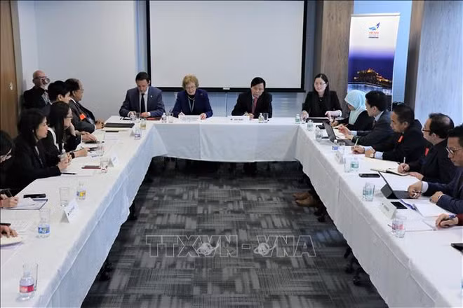 2020东盟主席年:越南主持召开驻联合国东盟委员会会议 ảnh 1 2020东盟主席年:越南主持召开驻联合国东盟委员会会议 ảnh 1
