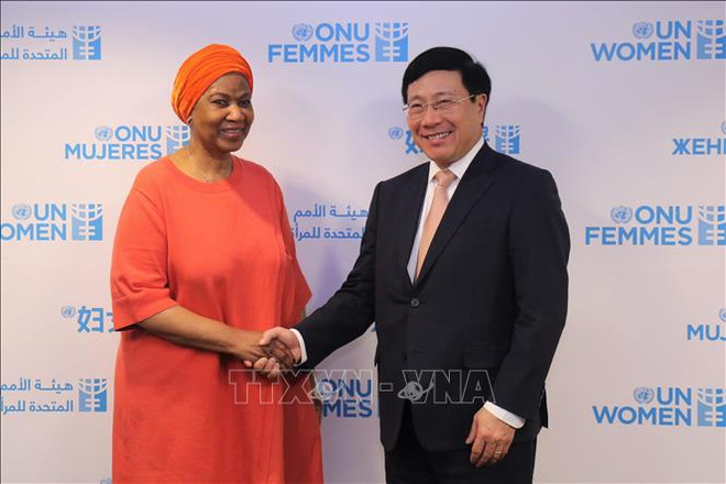 越南与联合国安理会:联合国秘书长与各国官员高度评价越南的国际地位 ảnh 3 越南与联合国安理会:联合国秘书长与各国官员高度评价越南的国际地位 ảnh 3