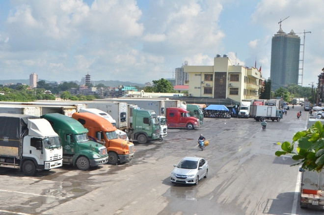 大力推动芒街市进出口活动 ảnh 1 大力推动芒街市进出口活动 ảnh 1