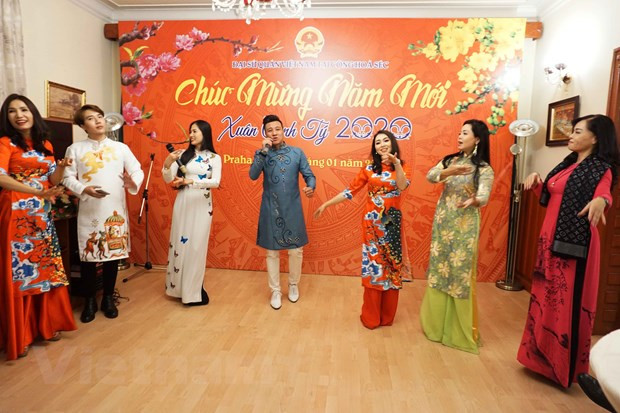 旅外越南人纷纷举行活动喜迎新春佳节 ảnh 1