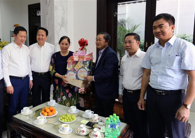 国会副主席杜伯巳向胡志明市原党、国家领导人拜年 ảnh 2