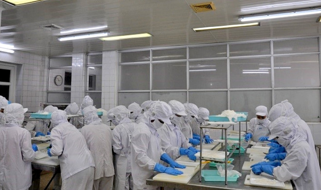 广宁省新增 4家水产企业拥有对华出口资格 ảnh 1