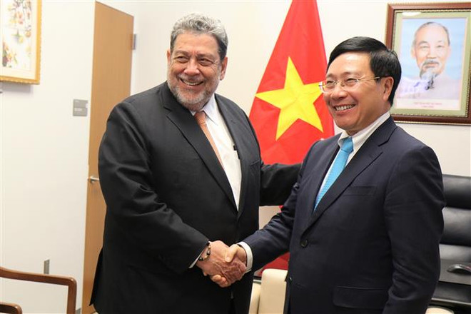 越南与联合国安理会：越南外交部长与各国外长举行会晤 ảnh 2