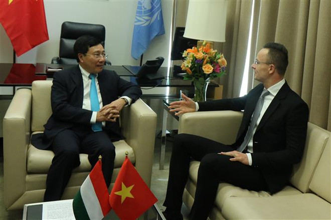 越南与联合国安理会：越南外交部长与各国外长举行会晤 ảnh 1
