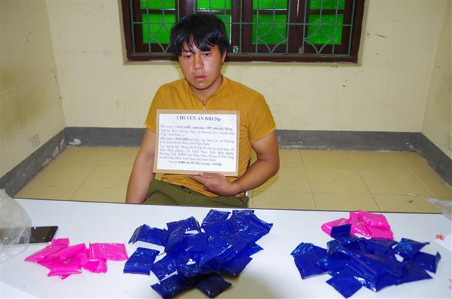 一男子非法运输1万颗合成毒品时被捕 ảnh 1