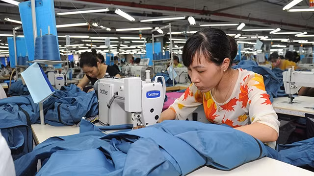 促进企业嵌入全球价值链 ảnh 1