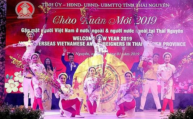 太原省举行2020年海外侨胞新春见面会 ảnh 1