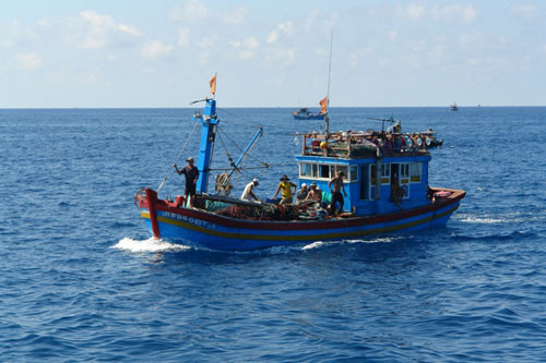 越南平顺省采取强有力措施 加强保护和恢复水产资源 ảnh 1 越南平顺省采取强有力措施 加强保护和恢复水产资源 ảnh 1