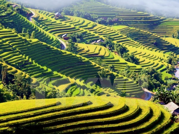 德国电视一台制作有关越南风土人情的电视节目 ảnh 1