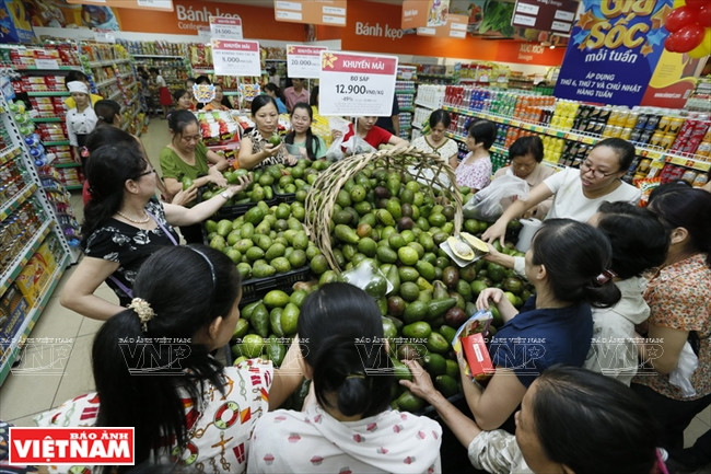 越南零售业的“亮点” ảnh 10