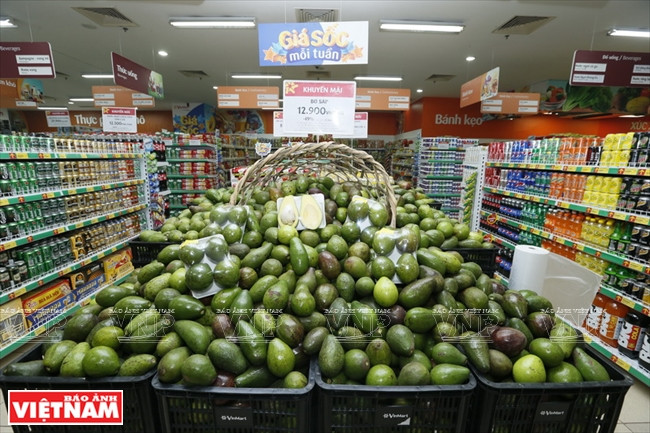 越南零售业的“亮点” ảnh 8