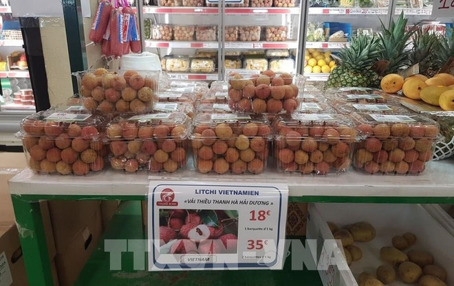 电商为农产品出口到欧洲插上翅膀 ảnh 1 电商为农产品出口到欧洲插上翅膀 ảnh 1