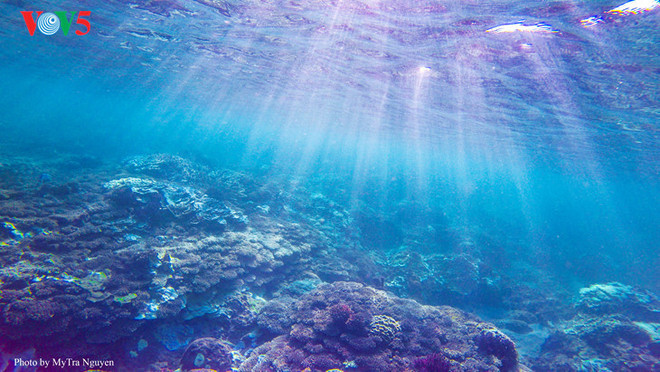 李山—— 世界罕见的古火山地质“博物馆” ảnh 2 李山—— 世界罕见的古火山地质“博物馆” ảnh 2