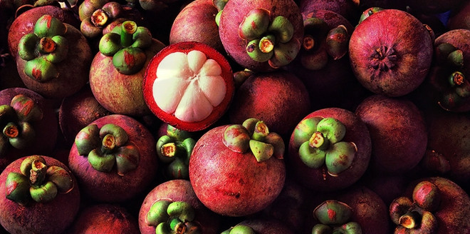 越南山竹将向中国输出 ảnh 1