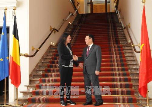 越南与比利时一致同意扩大双边合作关系 ảnh 2