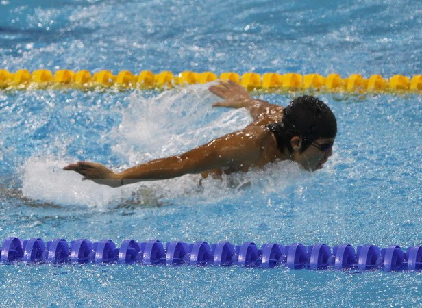 2017年东盟残运会：越南残疾人运动员夺得四枚金牌 ảnh 1