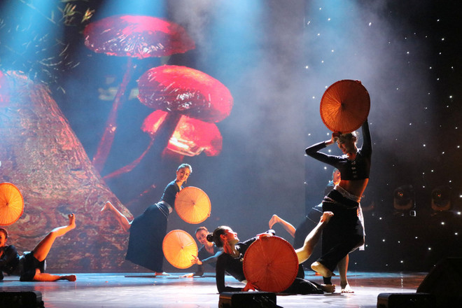 2017年国际舞蹈节在宁平省开幕 ảnh 2