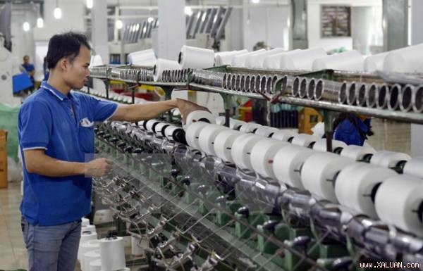 坚江省将为私营经济发展创造便利条件 ảnh 1 坚江省将为私营经济发展创造便利条件 ảnh 1